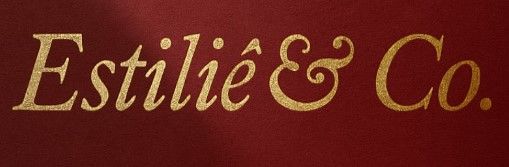 Estilie - Centro de curadoria de imagem e estilo